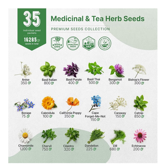 Med Hrebs seeds 001