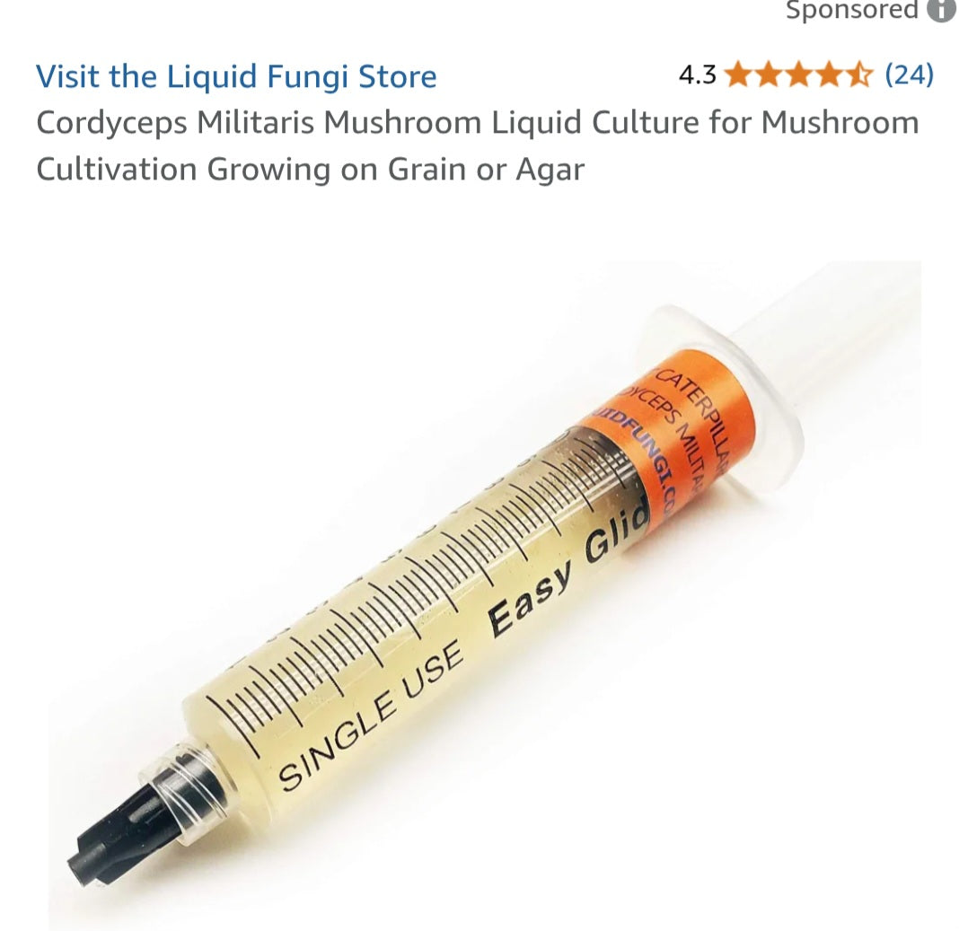 Mushroom 002 Liquid culture