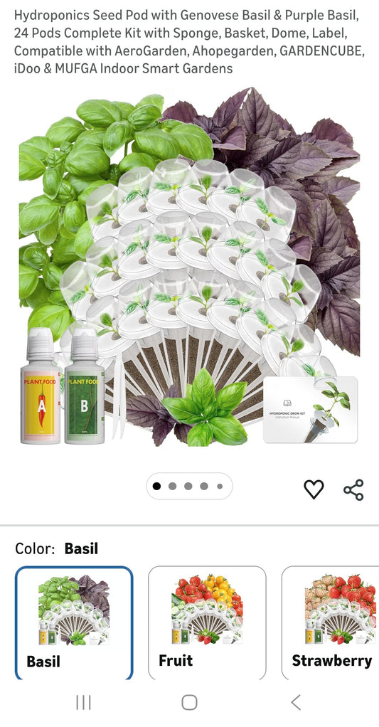 Organic basil p002